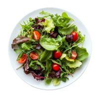 Fresh garden salad with cherry tomatoes on a transparent plate viewed from above, perfect for a healthy meal, of plate of salad top view isolated on solid transparent background png
