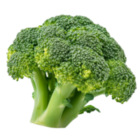 Fresh broccoli showcasing vibrant green color isolated against a transparent background, broccoli isolated on transparent background png