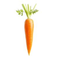 Fresh carrot isolated on a transparent background showcasing its vibrant color and crisp texture, Carrot isolated on transparent background png