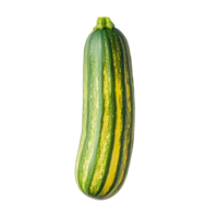 Striking striped cucumber resting on a smooth transparent background with vibrant green and yellow colors, striped cucumber on transparent background png