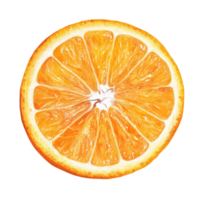 Fresh orange fruit slice displayed against a clean transparent background highlighting its vibrant color and texture, Orange fruit slice on transparent background png