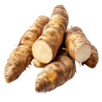 Fresh yacon roots displayed on a transparent background, highlighting their unique texture and shape, Fresh Yacon roots on transparent background png