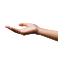 Young female hand holding an object, isolated on a transparent background in a welllit environment, young female flat hand holding somethingisolated on transparent background png