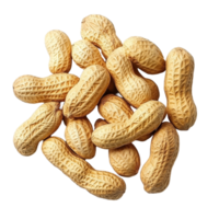 A cluster of unshelled peanuts resting together on a transparent background showcasing their unique textures and shapes, Group of peanuts png