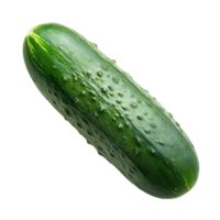 Fresh cucumber isolated on a transparent background showcasing its vibrant green color and smooth texture for culinary uses and recipes, cucumber isolated on transparent background png