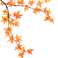 Autumn maple branch with vibrant orange leaves against a clean transparent background, autumn maple branch leaves corner edge transparent background png