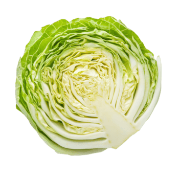 recién rebanado repollo exhibiendo vibrante verde capas en contra un transparente fondo, Perfecto para sano comidas y recetas, rebanada repollo en transparente antecedentes antecedentes png