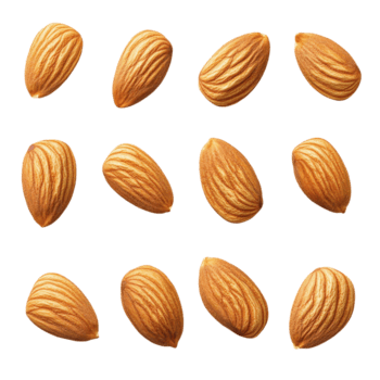 un' superiore Visualizza di crudo mandorle visualizzato nel un' pulito preparativi su un' trasparente sfondo, diverso angolo di crudo mandorle isolato su trasparente sfondo png