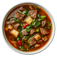 Delicious spicy beef soup with fresh vegetables and herbs, served in a bowl on a transparent background, spicy beef soup top view isolated on transparent background png