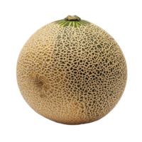 Fresh cantaloupe melon rests on a clean transparent background, showcasing its textured skin and vibrant colors, melon on transparent background png