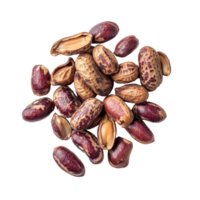 Roasted tigerstripe beans scattered on a transparent background showcasing their unique texture, roasted peanuts thai name is tigerstripe beans isolated on transparent background png