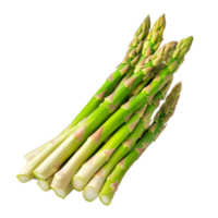 Fresh green asparagus spears isolated on a transparent background for culinary use and presentation, Asparagus isolated on transparent background png