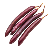 Fresh red long beans arranged neatly on a clean transparent background ready for culinary use in various dishes, red long bean on transparent background png
