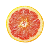 Fresh half grapefruit isolated on a clean transparent background, showcasing vibrant color and juicy texture, Half Grapefruit isolated on transparent background png