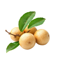 Fresh longan fruit with green leaves isolated on a clean transparent background for culinary and health purposes, Longan with leaf isolated on transparent background png