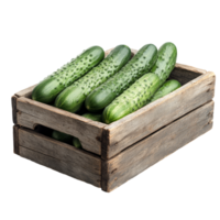 Fresh cucumbers in a rustic wooden box on a transparent background ready for culinary use, wooden box of cucumbersisolated on transparent background png