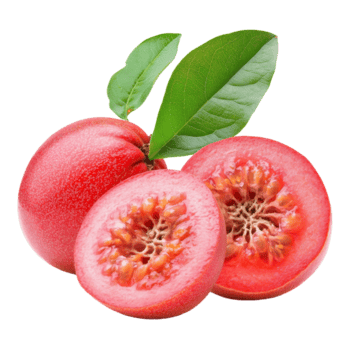 Fresco rojo guayaba con vibrante verde hojas aislado en transparente fondo, exhibiendo sus jugoso interior y Rico textura, rojo guayaba aislado en transparente antecedentes png