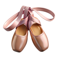Isometric Render of Ballet Pointe Shoes png