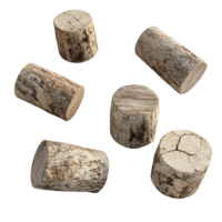 Five weathered tree trunk sections float against a black background png