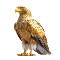 Golden eagle stands majestically with wings poised in a striking display of nature's beauty and power isolated on transparent background. png