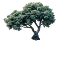 Lush green tree with expansive canopy and twisting trunk in natural habitat isolated on transparent background. png