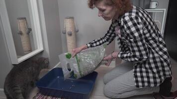 Woman, owner of gray Scottish Straight cat, fills a litter box in a hallway at home. New covered litter box and scratching post create a clean, cozy space for pet care in a modern domestic setting. video