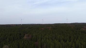 Aerial view of wind farm turbines set up in countryside with forest. Producing power using energy of nature. Incorporating technology into environment of nature. Cloudy sky. Electricity production. video
