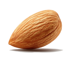 Almond in a natural setting showcasing its textured shell and smooth surface, highlighting its organic shape and color on transparent background png