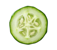 Freshly cut cucumber slice reveals vibrant green color and intricate seed pattern from a garden in summer on transparent background png