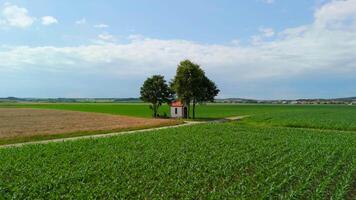 Small chapel stands at intersection of dirt roads, surrounded by fields of crops beneath shady tree. In summer, drone view captures serene beauty of rural landscape, highlighting its tranquility. video