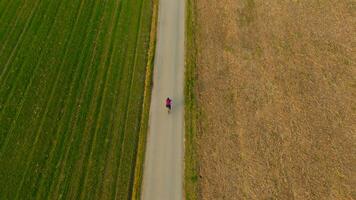 Woman cyclist cycling on asphalt road separating two fields of green and yellow color air view. Bicycle ride through farm fields in spring drone view. Two-colored agricultural field split by road. video