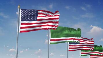 A Row Of United States And Chechen Repub-lic Of United States And Ichkeria Flags video