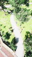 View from the height of the park with a green lawn and paths video