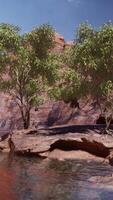 Shining rays of the sun reflected in the cold water of the Colorado River video