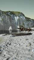 View of the Atlantic Ocean and the cliffs video