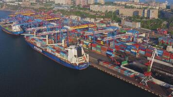 Mooring wall of the port of the sea cargo terminal with port cranes. Drone view video