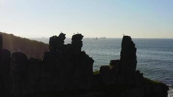 A bird's market on a rocky ledge in the shape of fingers on the seashore video