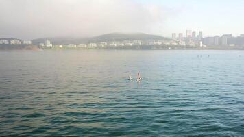 Drone view of a group of people rowing on paddleboards video