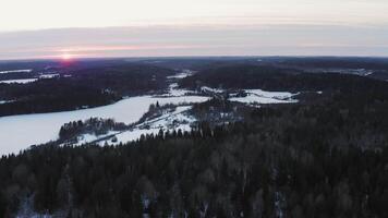 Aerial view. winter coniferous forest basking in the rays of the setting sun video