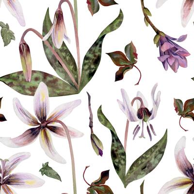 Spring flowers, white trout lily, purple orchid vetch, mauve magnolia camelia bud, erythronium corydalis hand drawn in watercolor. Seamless pattern illustration for wedding, florist shop, stationery