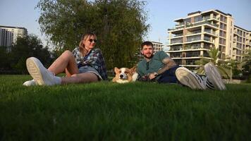A man and a woman are seated in the grass with their Corgi dog at a green park during sunset video