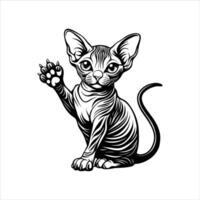 Sphynx Cat Pow vector