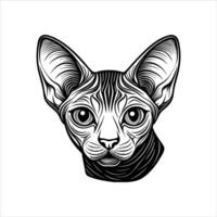 Sphinx Cat Portrait vector