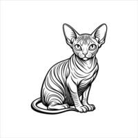 Sphynx Characteristics wrink vector