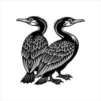 Double Crested Cormorant Images vector