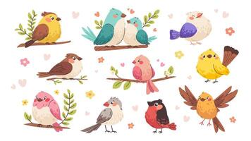 Spring Birds Set. Funny birds hand drawn in flat style. Different birds for kids vector
