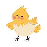 Yellow chick hatching from eggshell with outstretched wings. Hand-drawn digital illustration on white background. Easter and springtime concept for greeting cards and decorations. vector