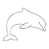Dolphin painted by black inks in outline style. Hand drawn illustration Drawing of Aquatic placental marine mammal with flippers and tail. Etching of underwater fish vector