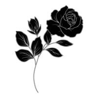black and white illustration of a rose vector
