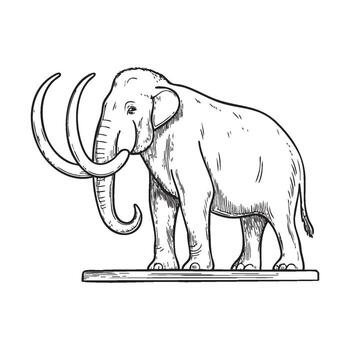 un mamut fósil con grande, hermosa colmillos desplegado en un museo vector